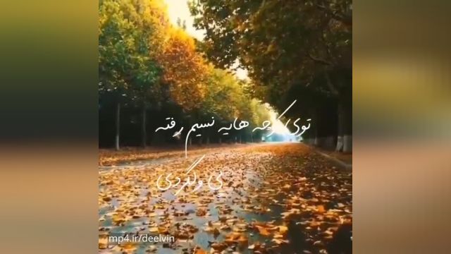 کلیپ زیبا پاییزی با موزیک فوق العاده شجربان