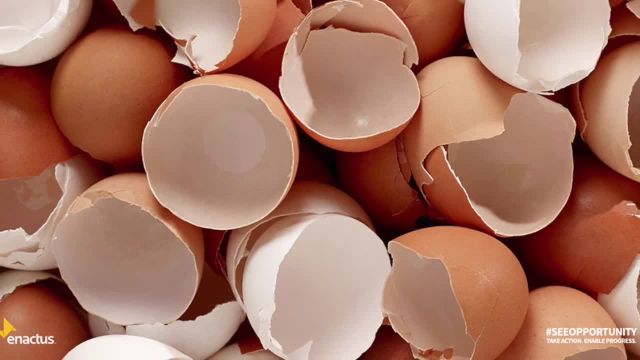 از پوست تخم مرغ چه استفاده هایی میشه کرد؟