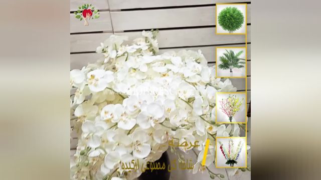 لیست شاخه گل مصنوعی ارکیده سفید | فروشگاه ملی