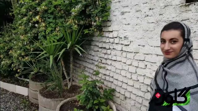 گل رونده؛ پیچک امین الدوله پوششی برای ساخت یک دیوار سبز