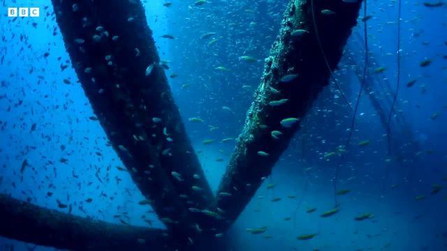 چگونه هوش مصنوعی تحقیقات اعماق اقیانوس را متحول می کند!