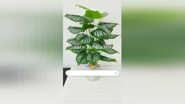 لیست درختچه مصنوعی مارانتا مدل 24 برگ 70 سانتیمتر پخش از فروشگاه ملی