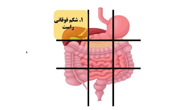 شناسایی انواع دردهای شکمی با استفاده از نقشه شکم انسان