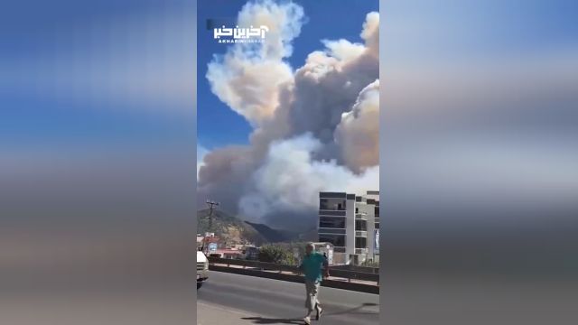 آتش‌ سوزی گسترده در جنگل‌ های هاتای ترکیه