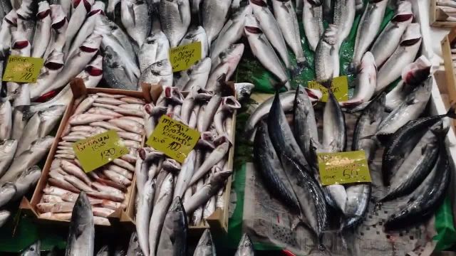 ماهیگیری در پل خلیج ترکیه | بازار ماهی ترکیه