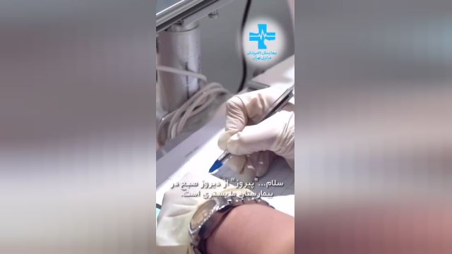 انتشار ویدیویی از پیروز در بیمارستان دامپزشکی تهران | ویدیو