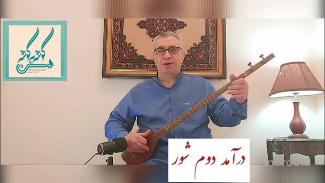 درآمد دوم دستگاه شور | ردیف میرزاعبدالله امیرحسین رائی سه تار