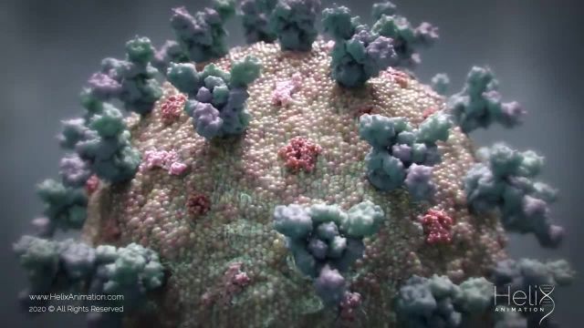 انیمیشن سه بعدی: انتقال ویروس SARS-CoV-2 که منجر به COVID-19 می شود