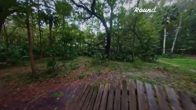 ویدیوی وضعیت و استوری از طبیعت فوق العاده آرامش بخش 30 ثانیه