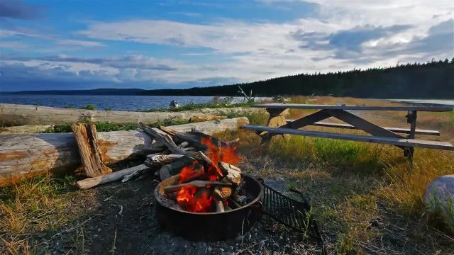 ویدیوی آرامش‌ بخش آتش در ساحل و صداهای طبیعت | فیلم طبیعت 3 ساعته با کیفیت UHD 4K