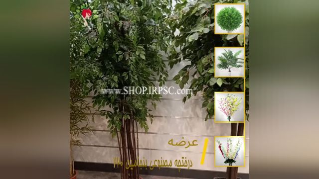 لیست درختچه مصنوعی بنجامین قطر 120 سانت | فروشگاه ملی
