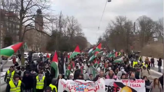 تظاهرات حامیان فلسطین در پایتخت دانمارک: فیلم‌ها و گزارشات