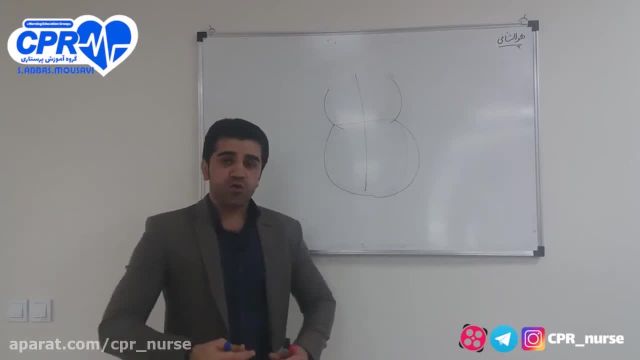 آناتومی قلب توسط سید عباس موسوی