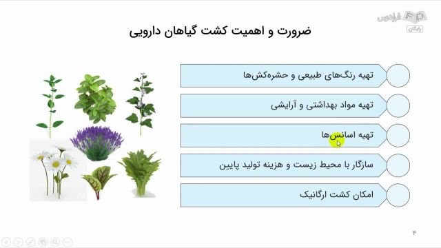 آموزش تولید و بهره برداری گیاهان دارویی | تاریخچه گیاهان دارویی