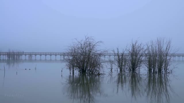 حوضچه مه آلود | 8 ساعت طبیعت با صداهای آب، اردک و صداهای آرامبخش