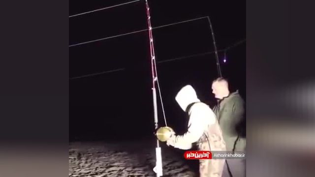 شکار کوسه 3.5 متری توسط انسان در آلابامای آمریکا  | ویدیو