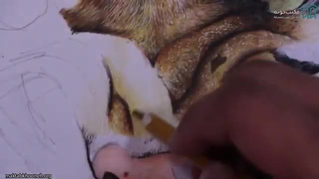 آموزش کشیدن تابلو حیوان با تکنیک مداد رنگی از پایه | قسمت 7