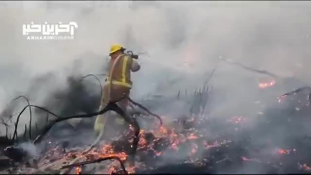 تصاویری از آتش‌ سوزی در اراضی اشغالی