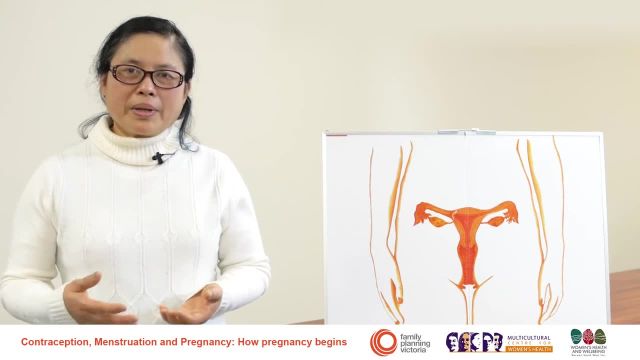 بارداری چگونه آغاز می شود؟