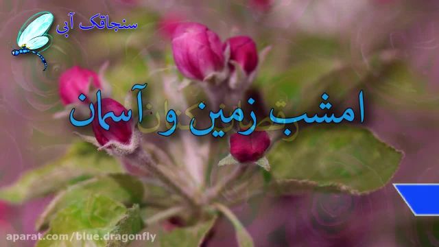 آهنگ امام حسین و حضرت عباس | کلیپ تبریک میلاد امام حسین