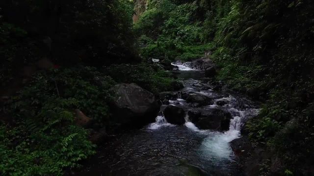ویدیوی طبیعت 30 ثانیه ای با صدای طبیعت مخصوص وضعیت واتساپ