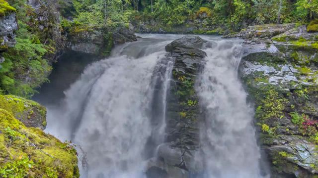 نمایی از جنگل در یک روز بارانی | ویدیوی آرامش بخش با صدای آبشار