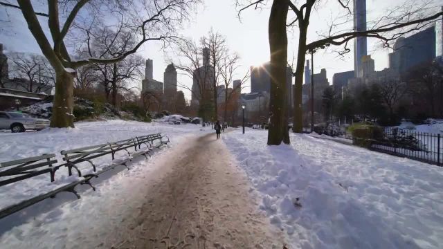 صحنه هایی از زمستان در سنترال پارک شهر نیویورک | پیش نمایش کوتاه ویدئو