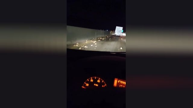 تصادف خودروی حامل چغندر در جاده مشهد - قوچان