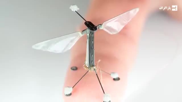 دانشمندان زنبورهای رباتیک با هوش مصنوعی را به کمک جهان می آورند