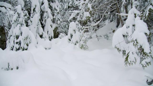 زیبایی زمستانی طبیعت کانادا | فیلم آرامش مناظر پوشیده از برف | قسمت 3