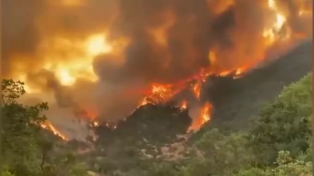 فیلم آتش سوزی گسترده در  جنگل‌های شیلی  | ببینید