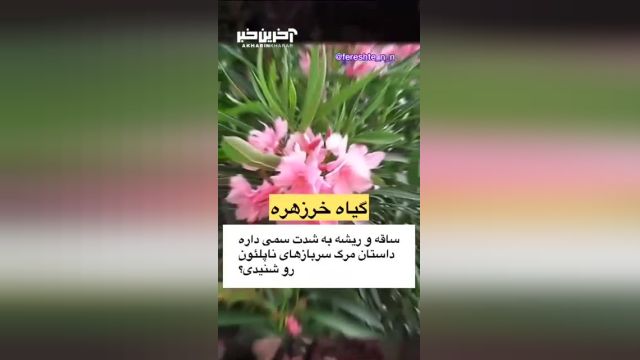 بهترین گیاهان کشنده ایران را بشناسید