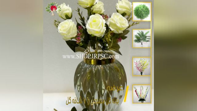 لیست بوته گل تزیینی رز 7 گل رنگ بندی سفید پخش از فروشگاه ملی