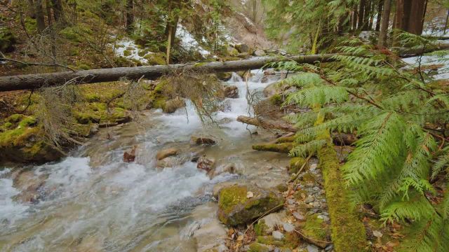 زیبایی زمستانی پارک‌ ملی کانادا | ویدیوی آرامش بخش با صداهای طبیعت | قسمت 2