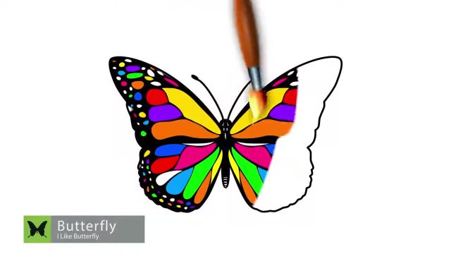 راهنمایی‌ های طراحی زیبا به همراه آموزش نقاشی پروانه