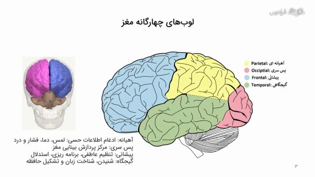 آموزش تحلیل و طبقه بندی سیگنال های مغزی EEG در متلب (درس 1)