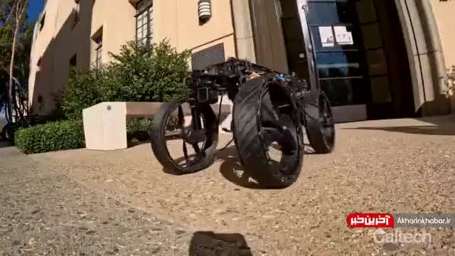 ساخت ربات توسط ایرانیان | این ربات تغییر‌ شکل‌ دهنده ساخت دانشمندان ایرانی می‌تواند راه برود و پرواز کند
