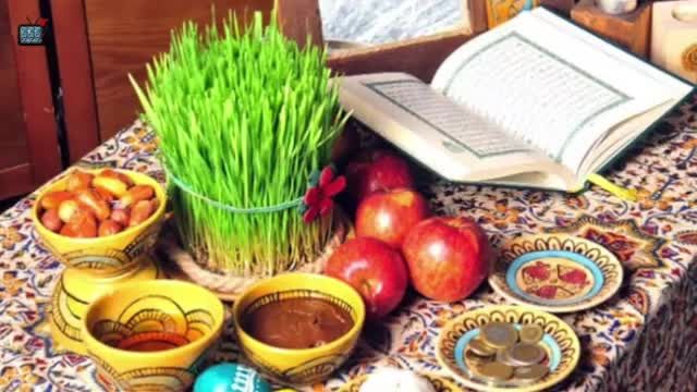 آموزش سبز کردن سبزه عید در 8 ورز