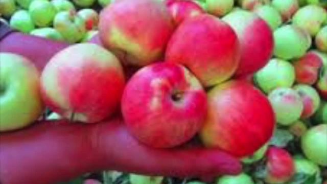 خواص سیب گلاب برای سلامتی
