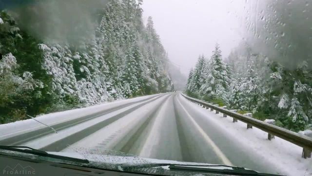 گردش در جاده‌ های زمستانی از داخل خودرو | رانندگی در امتداد مناظر طبیعت کنار جاده