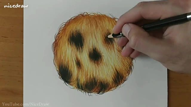 در هنر کشیدن خز حیوانات با مداد رنگی مسلط شوید