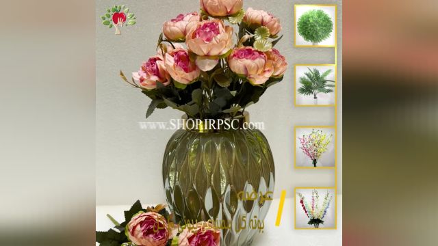 لیست بوته گل تزیینی پیونی مدل 10 گل کیفیت درجه یک پخش از فروشگاه ملی