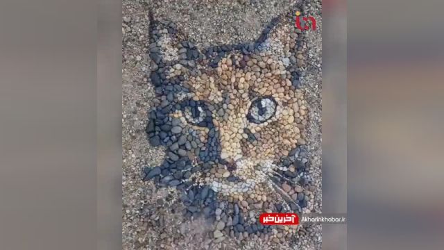 کلیپ هنرنمایی با شن و کشیدن تصویر  یک گربه | ویدیو