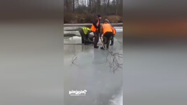 داستان شگفت‌انگیز نجات یک گوزن از دریاچه یخ‌زده