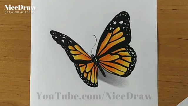 راهنمای گام به گام : ایجاد یک نقاشی پروانه خیره کننده با مداد رنگی