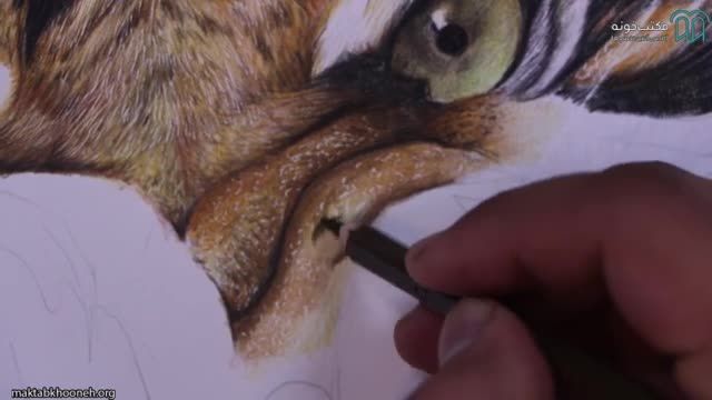 صفر تا صد آموزش کشیدن حیوان با تکنیک مداد رنگی - قسمت 6