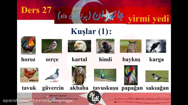 آموزش زبان ترکی استانبولی : راهی سریع و موثر برای یادگیری زبان ترکی