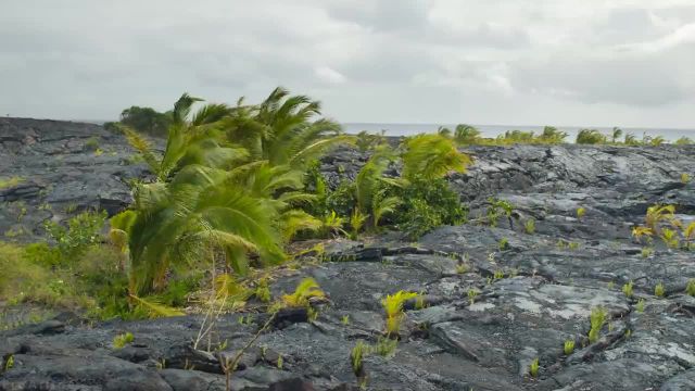 تنوع باورنکردنی جزیره بزرگ، هاوایی | فیلم منظره با موسیقی آرامبخش | قسمت 1