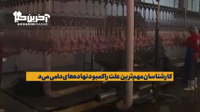 مردم در صف مرغ، کشتی‌ها منتظر تخلیه