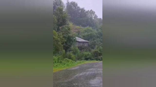 بارش باران تابستانی در رامسر | ویدیو
